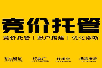 行业内的SEM竞价代运营公司优秀案例剖析